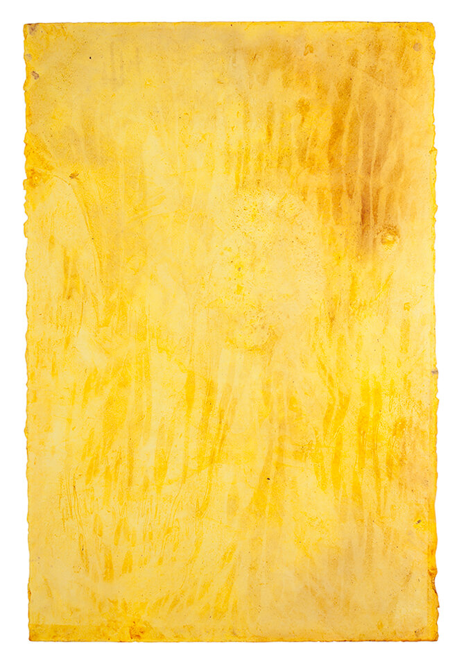 curcuma papel 10.jpg
